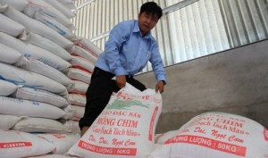 In rice-exporting Vietnam, consumers growing fond of Cambodian grain