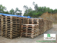 Acacia timber making pallet selecting well