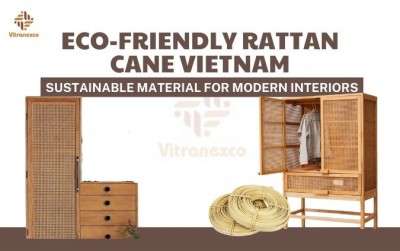 Eco Friendly Rattan Cane Vietnam Sustainable Material for Modern Interiors