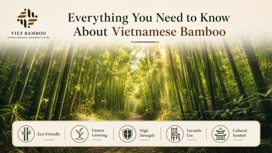 Everything You Need to Know About Vietnamese Bamboo