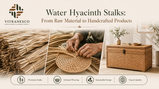 Water Hyacinth Stalks: From Raw Material to Handcrafted Products