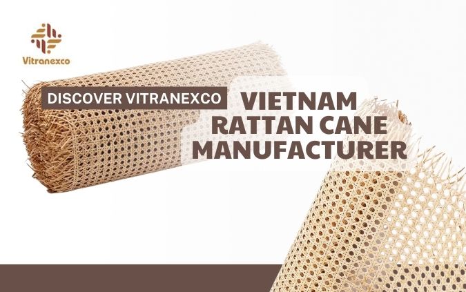 Discover VITRANEXCO Vietnam Rattan Cane Manufacturer