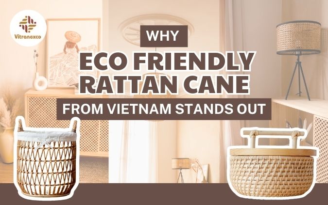 Why Eco Friendly Rattan Cane from Vietnam Stands Out