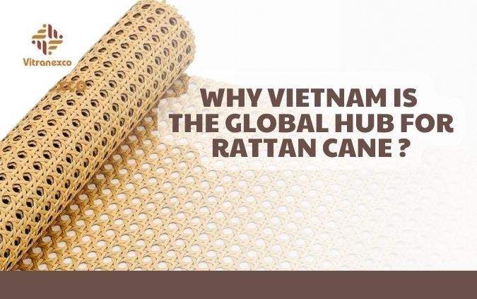 Why Vietnam is the Global Hub for Rattan Cane
