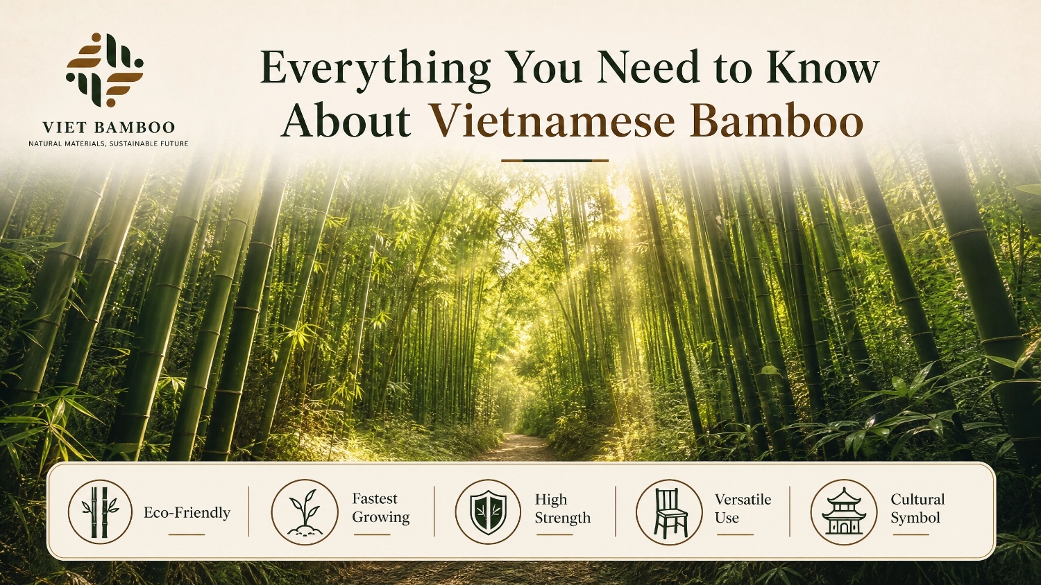 vietnamese bamboo grove banner