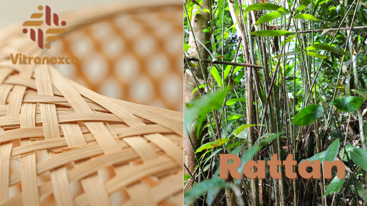 1 Introduction Premium Vietnam rattan cane webbing for home furniture